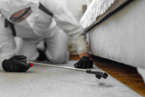 Professional Bed Bug Control technician working in Tukwila, WA