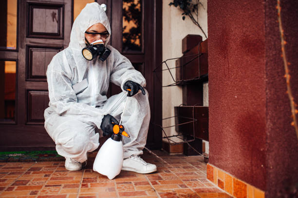 Reliable Bed Bug Control contractor in Tukwila, WA by Nex Pest Control